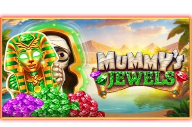 baji life তিন পাত্তি গেমপ্লে